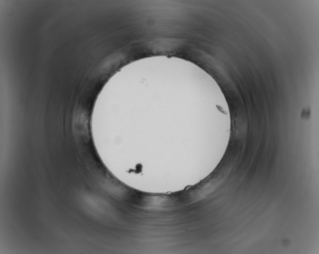 X0000101400575200808041044