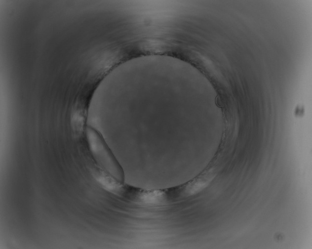 X0000101400576200808041044