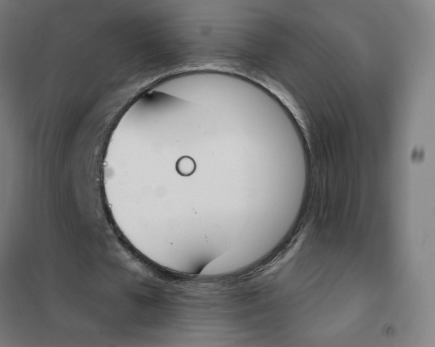 X0000101400577200808041043