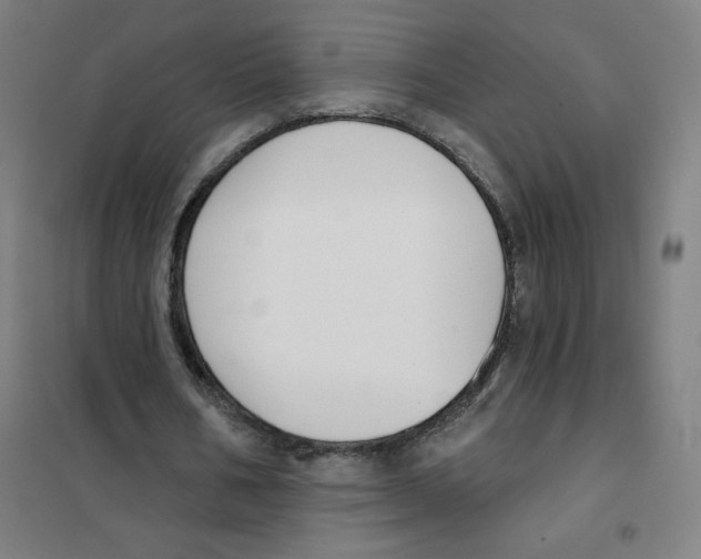 X0000101400578200808041043