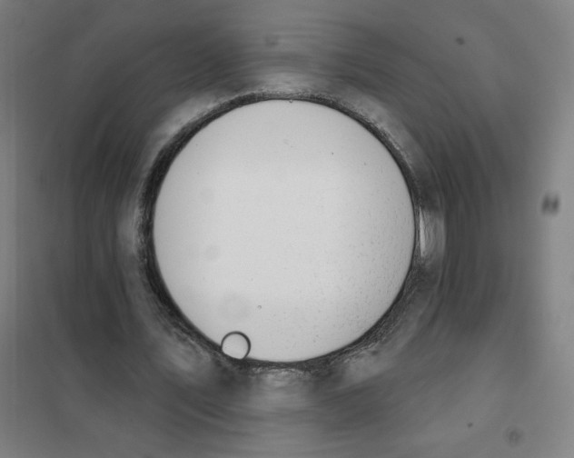 X0000101400579200808041043