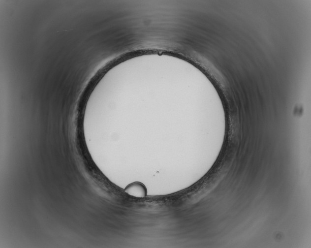 X0000101400580200808041043