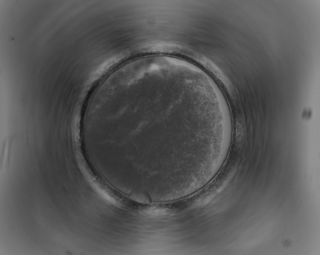 X0000101400581200808041043