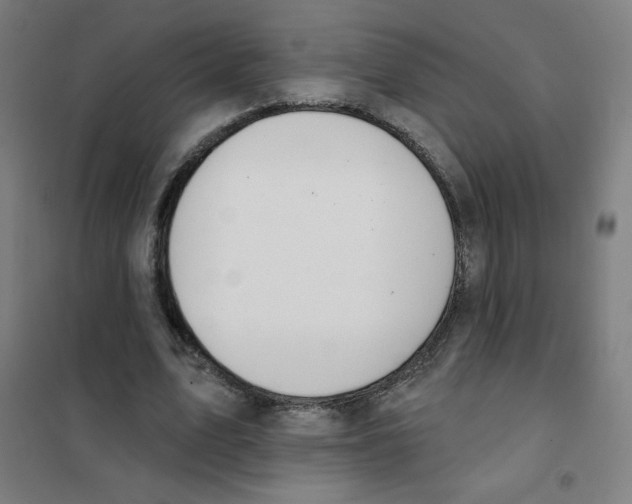 X0000101400583200808041043