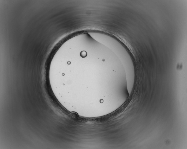 X0000101400584200808041043