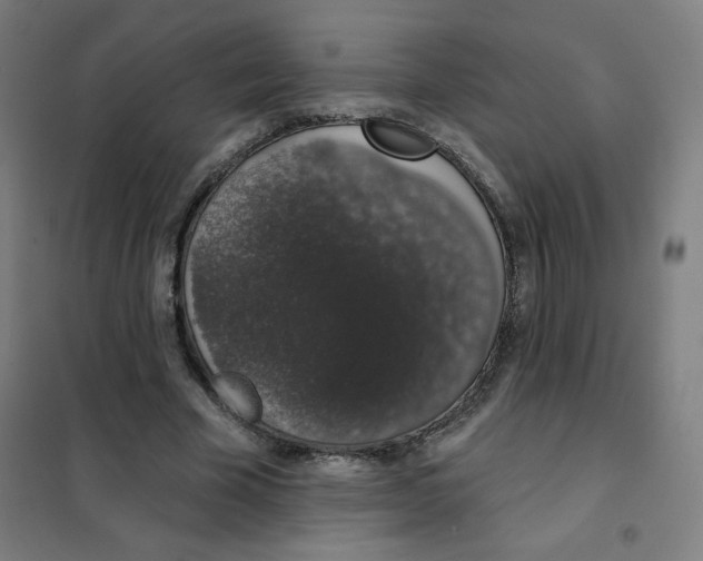 X0000101400585200808041043