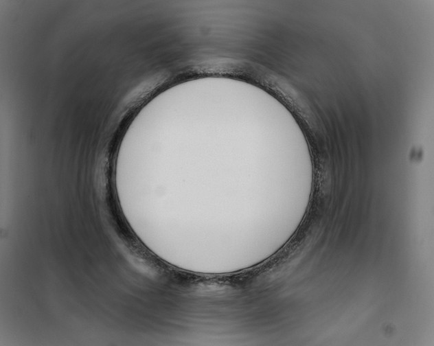 X0000101400586200808041043