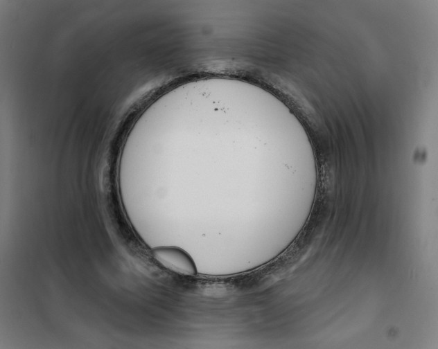 X0000101400587200808041043