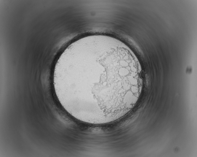 X0000101400588200808041043