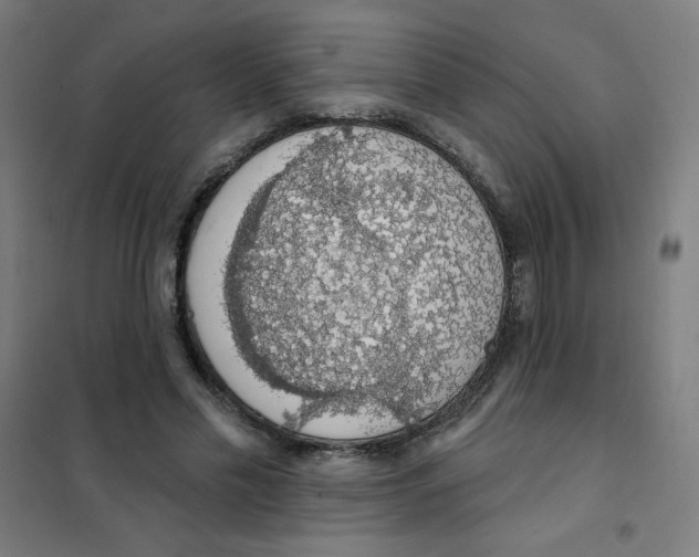 X0000101400589200808041043