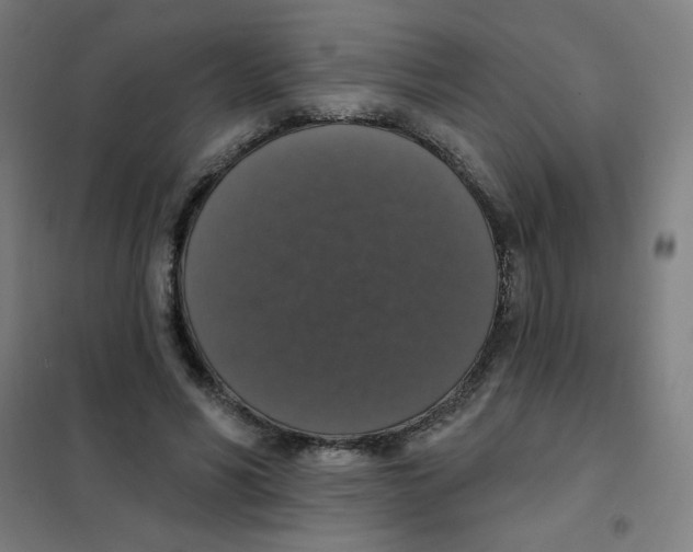 X0000101400590200808041043