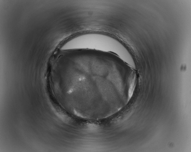 X0000101400592200808041043