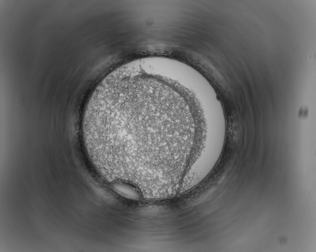 X0000101400593200808041043