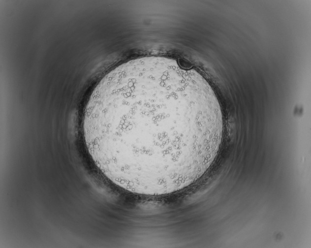 X0000101400594200808041043