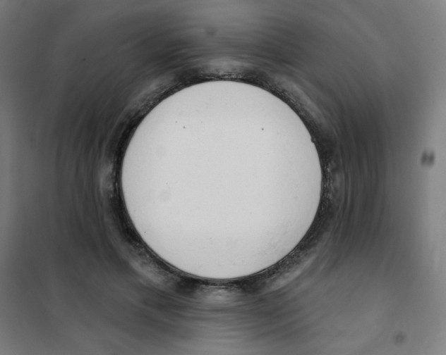 X0000101400597200808041043