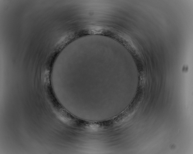 X0000101400598200808041043