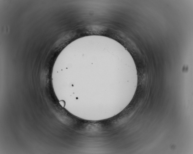 X0000101400599200808041043