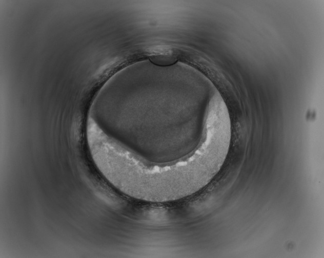 X0000101400600200808041042