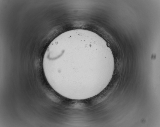 X0000101400601200808041042