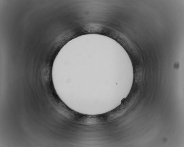 X0000101400604200808041042