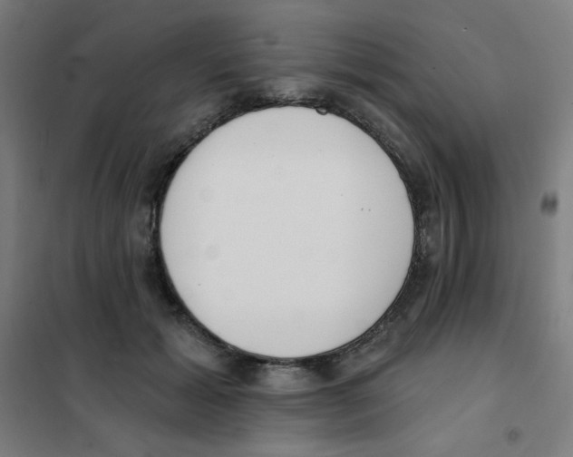 X0000101400605200808041042