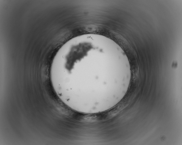 X0000101400606200808041042