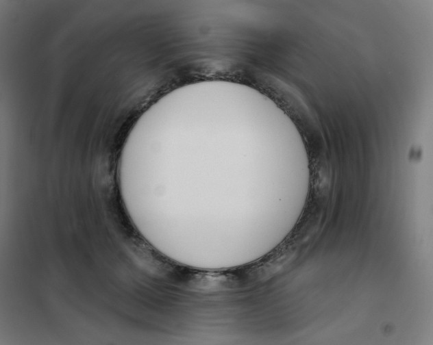 X0000101400607200808041042