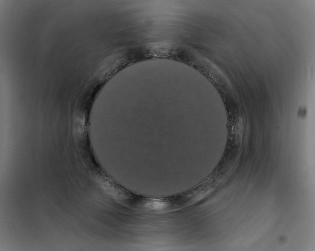 X0000101400610200808041042