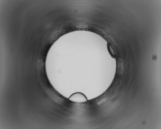 X0000101400614200808041042