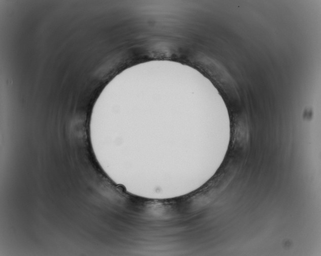 X0000101400616200808041042