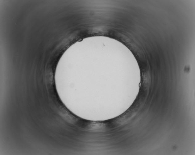 X0000101400617200808041042