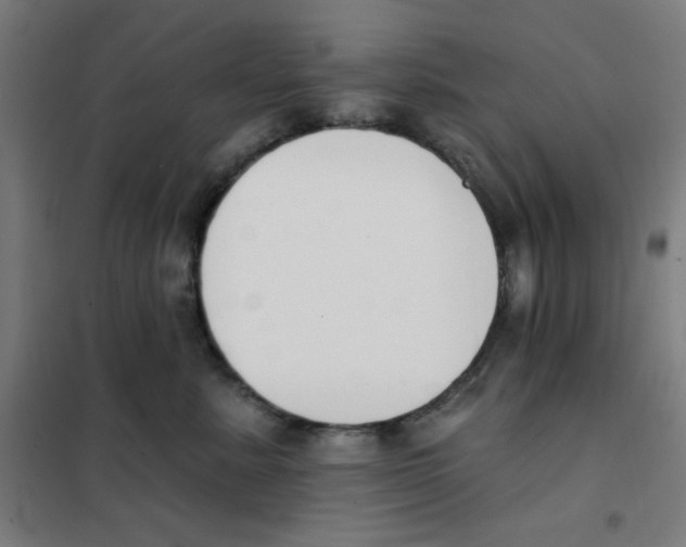 X0000101400619200808041042