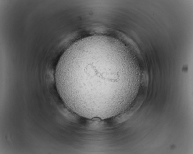 X0000101400621200808041042