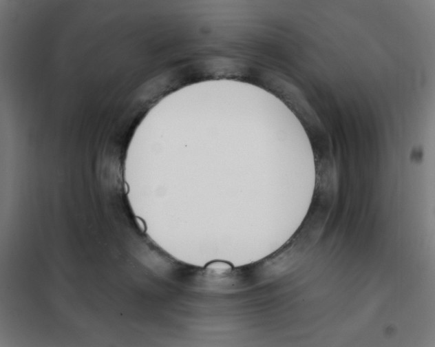 X0000101400622200808041042