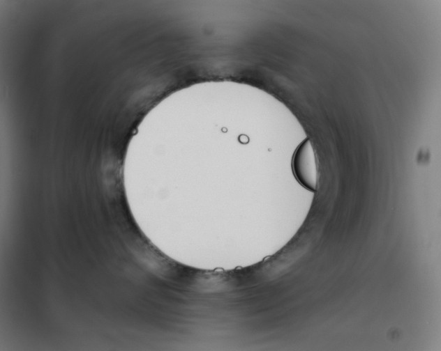 X0000101400624200808041042