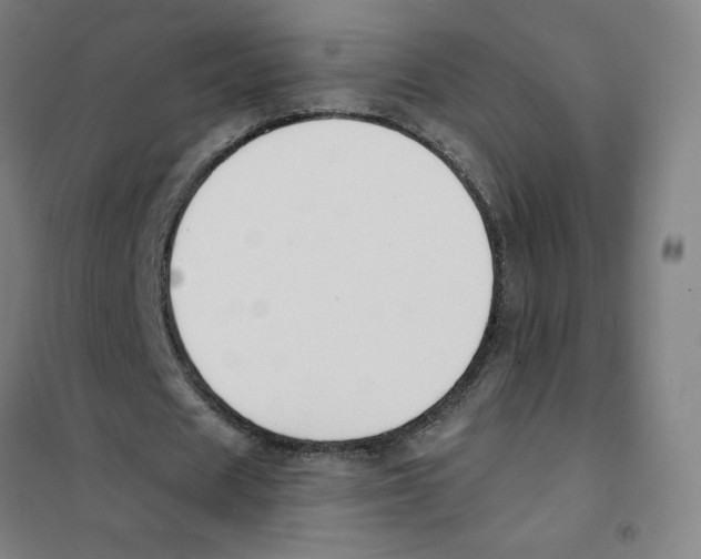 X0000101400625200808041042