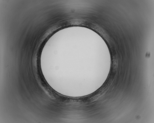 X0000101400626200808041042