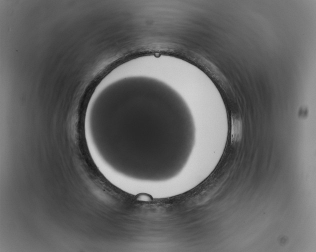 X0000101400627200808041042