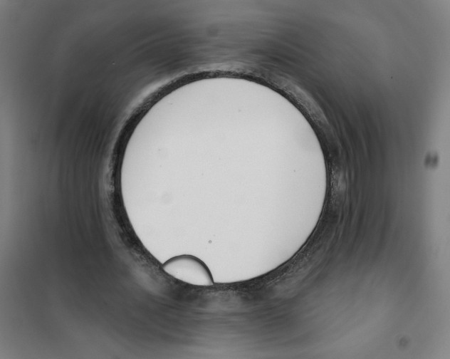 X0000101400628200808041042