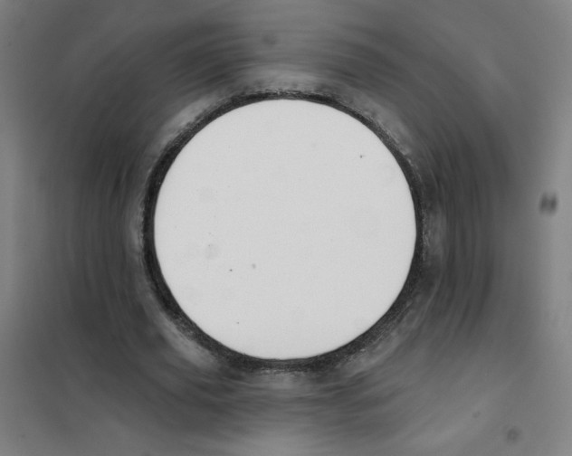 X0000101400629200808041042