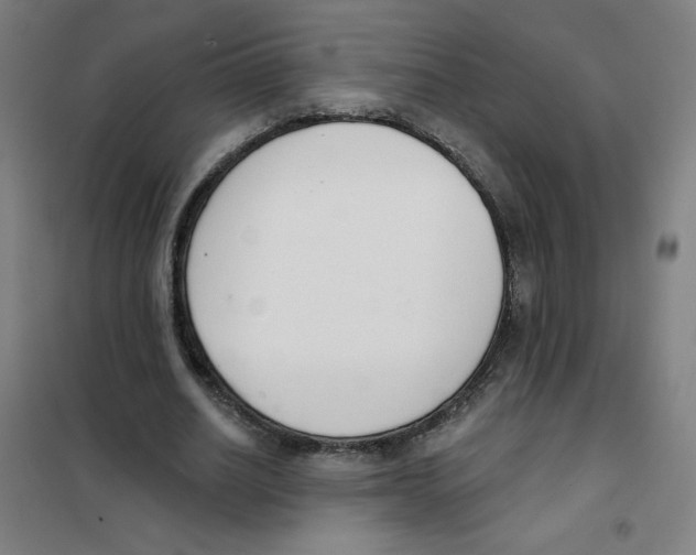 X0000101400630200808041042