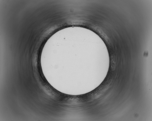 X0000101400631200808041042