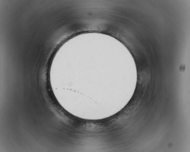 X0000101400632200808041042