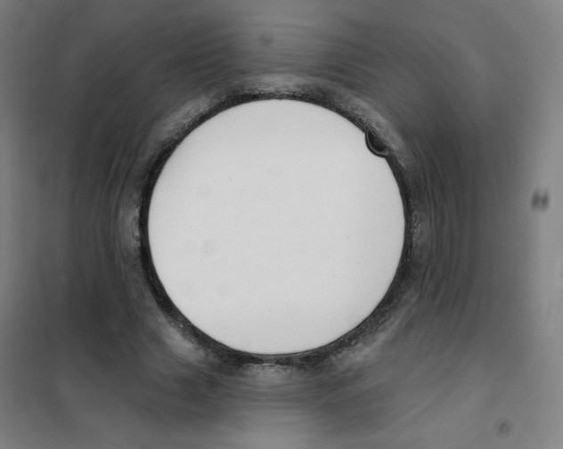 X0000101400633200808041042