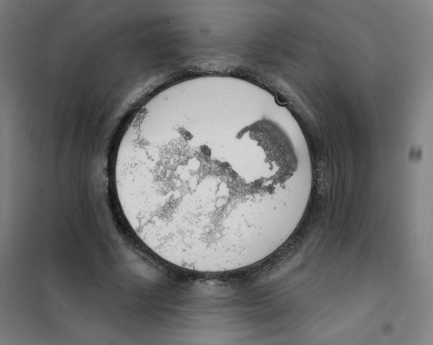 X0000101400634200808041042