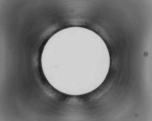 X0000101400635200808041042