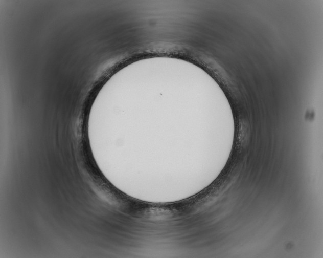 X0000101400636200808041042