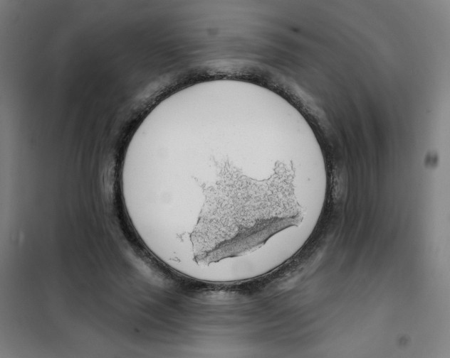 X0000101400637200808041042