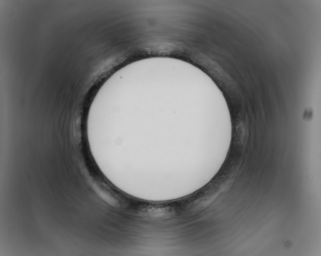 X0000101400638200808041042