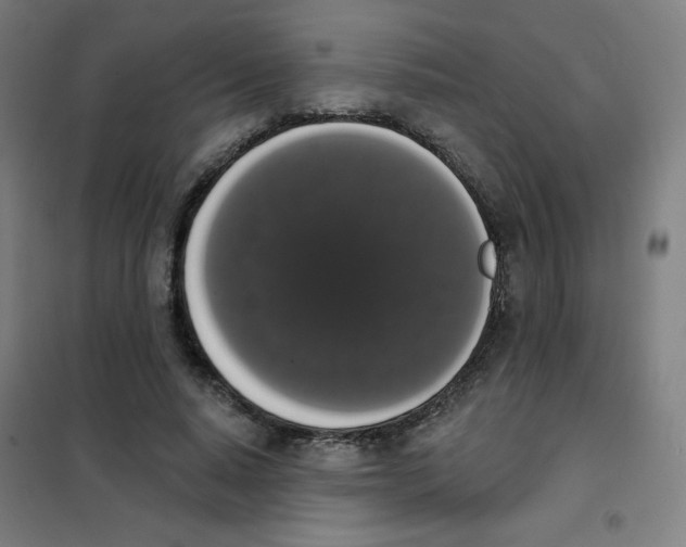 X0000101400640200808041042